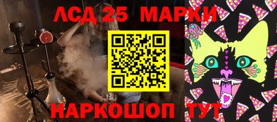 молекула духа Новозыбков