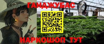 молекула духа Новозыбков